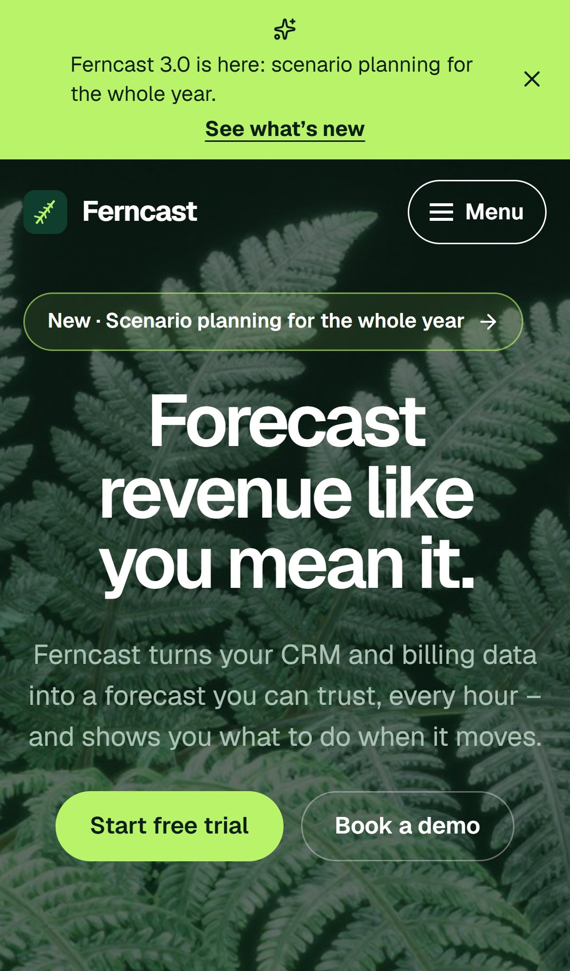 The Ferncast demo site on a phone.